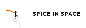 spiceinspace.com - Premium domains for sale